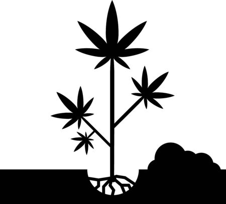 Black Planting marijuana or cannabis plant in the ground icon isolated on white background. Marijuana growing concept. Hemp symbol. Vector Illustrationのイラスト素材