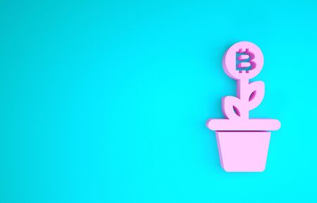 Pink Bitcoin plant in the pot icon isolated on blue background. Business investment growth concept. Blockchain technology, cryptocurrency mining. Minimalism concept. 3d illustration 3D renderの写真素材