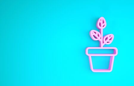 Pink Flowers in pot icon isolated on blue background. Plant growing in a pot. Potted plant sign. Minimalism concept. 3d illustration 3D renderの写真素材