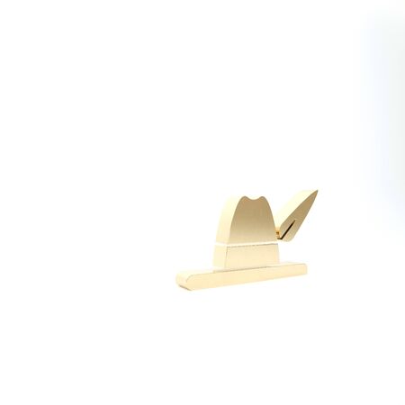 Gold Oktoberfest hat icon isolated on white background. Hunter hat with feather. German hat. 3d illustration 3D renderの写真素材