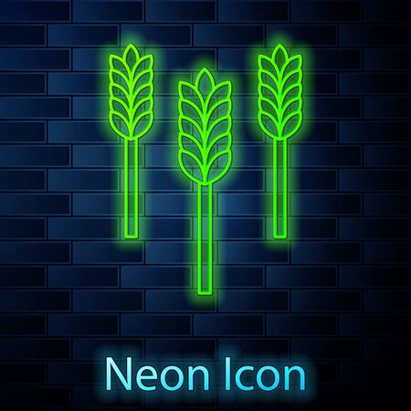 Glowing neon line Cereals set with rice, wheat, corn, oats, rye, barley icon isolated on brick wall background. Ears of wheat bread symbols. Vector Illustrationのイラスト素材