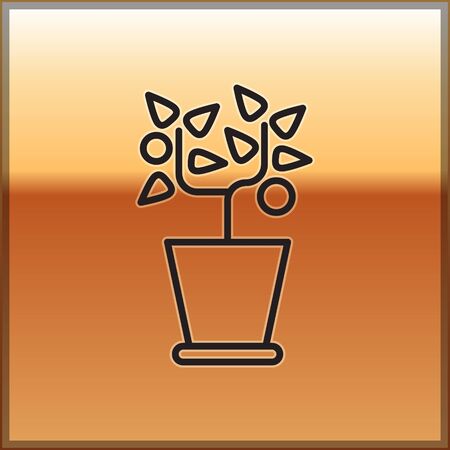 Black line Plant in pot icon isolated on gold background. Plant growing in a pot. Potted plant sign. Vector Illustrationのイラスト素材