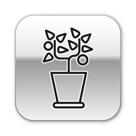 Black line Plant in pot icon isolated on white background. Plant growing in a pot. Potted plant sign. Silver square button. Vector Illustrationのイラスト素材
