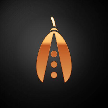 Gold Kidney beans icon isolated on black background. Vector Illustrationのイラスト素材