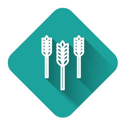 White line Cereals set with rice, wheat, corn, oats, rye, barley icon isolated with long shadow. Ears of wheat bread symbols. Green square button. Vector Illustrationのイラスト素材