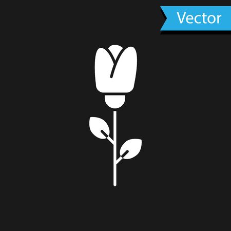 White Flower rose icon isolated on black background. Vector Illustrationのイラスト素材