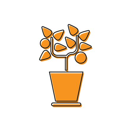Orange Plant in pot icon isolated on white background. Plant growing in a pot. Potted plant sign. Vector Illustrationのイラスト素材