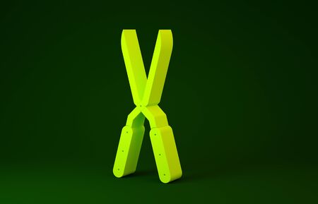 Yellow Gardening handmade scissors for trimming icon isolated on green background. Pruning shears with wooden handles. Minimalism concept. 3d illustration 3D renderの写真素材