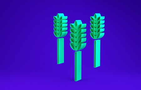 Green Cereals set with rice, wheat, corn, oats, rye, barley icon isolated on blue background. Ears of wheat bread symbols. Minimalism concept. 3d illustration 3D renderの写真素材