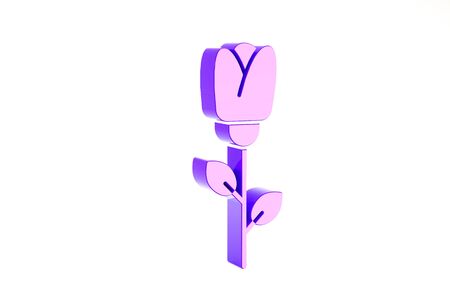 Purple Flower rose icon isolated on white background. Minimalism concept. 3d illustration 3D renderの写真素材