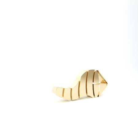Gold Cone meteorology windsock wind vane icon isolated on white background. Windsock indicate the direction and strength of the wind. 3d illustration 3D renderの写真素材