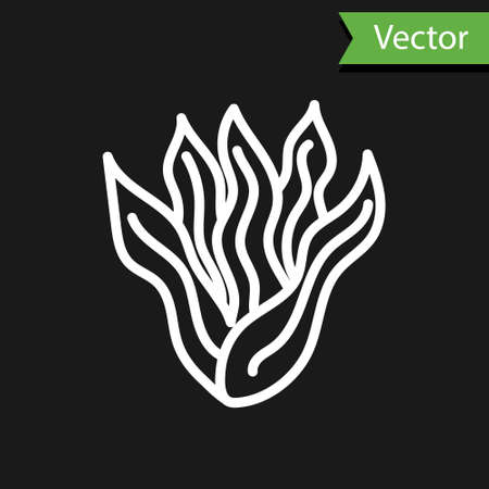 White line Seaweed icon isolated on black background. Underwater seaweed spirulina, aquatic marine algae plant. Vegan and vegetarian food. Vector..のイラスト素材
