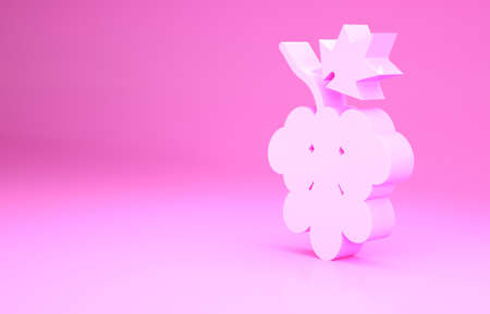 Pink Grape fruit icon isolated on pink background. Minimalism concept. 3d illustration 3D renderの写真素材