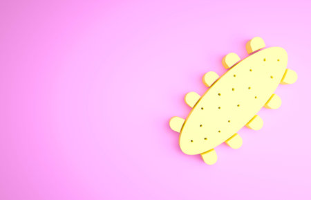 Yellow Sea cucumber icon isolated on pink background. Marine food. Minimalism concept. 3d...