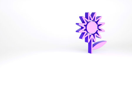 Purple Sunflower icon isolated on white background. Minimalism concept. 3d illustration 3D renderの写真素材