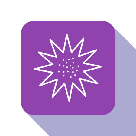 White line Sea urchin icon isolated on white background. Purple square button. Vector.のイラスト素材