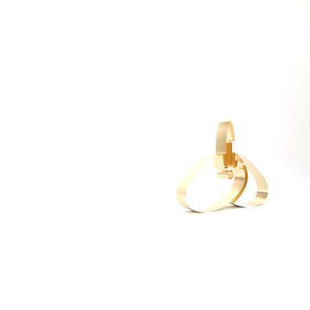Gold Indian headgear turban with feather icon isolated on white background. 3d illustration 3D renderの写真素材