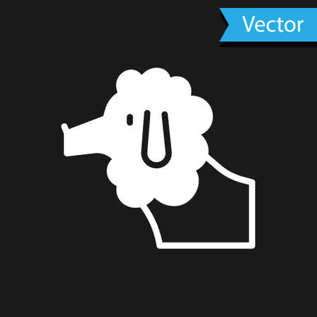 White French poodle dog icon isolated on black background. Vectorのイラスト素材