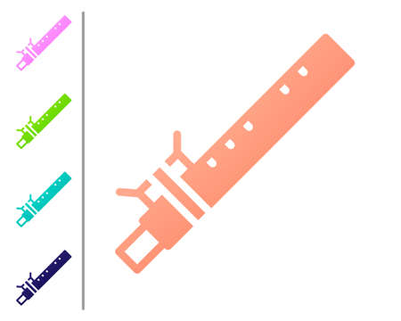 Coral Bamboo flute indian musical instrument icon isolated on white background. Set color icons. Vectorのイラスト素材