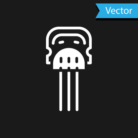 White Flamenco woman accessories icon isolated on black background. Peineta. Spanish comb. Vectorのイラスト素材