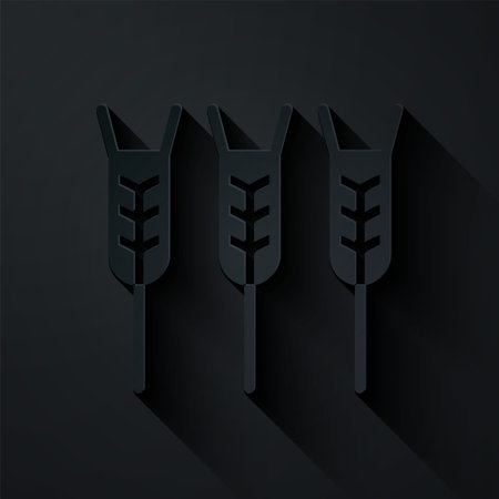 Paper cut Cereals set with rice, wheat, corn, oats, rye, barley icon isolated on black background. Ears of wheat bread symbols. Paper art style. Vectorのイラスト素材