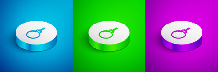 Isometric line Lamp hanging icon isolated on blue,green and purple background. Ceiling lamp light bulb. White circle button. Vectorのイラスト素材