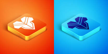 Isometric Traditional mexican poncho clothing icon isolated on orange and blue background. Vectorのイラスト素材