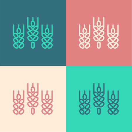 Pop art line Cereals set with rice, wheat, corn, oats, rye, barley icon isolated on color background. Ears of wheat bread symbols. Vectorのイラスト素材