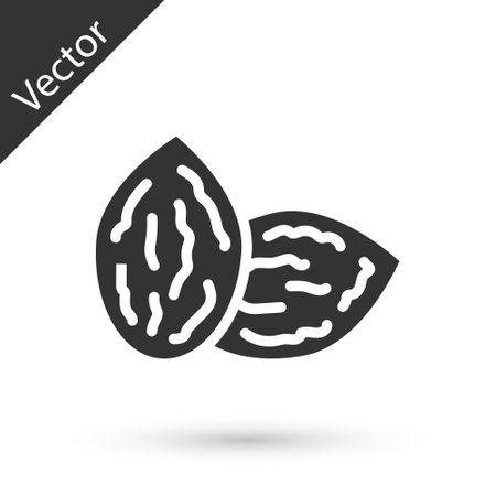 Grey Seeds of a specific plant icon isolated on white background. Vectorのイラスト素材