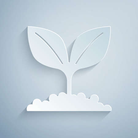 Paper cut Plant icon isolated on grey background. Seed and seedling. Leaves sign. Leaf nature. Paper art style. Vectorのイラスト素材