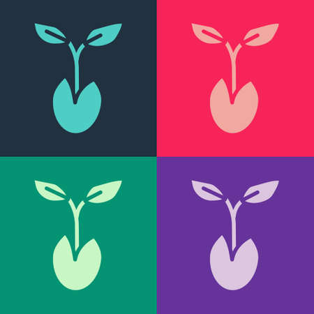 Pop art Sprout icon isolated on color background. Seed and seedling. Leaves sign. Leaf nature. Vectorのイラスト素材