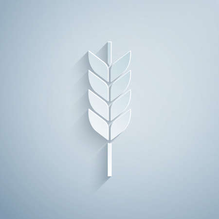 Paper cut Cereals set with rice, wheat, corn, oats, rye, barley icon isolated on grey background. Ears of wheat bread symbols. Paper art style. Vectorのイラスト素材