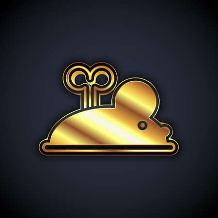 Gold Clockwork mouse icon isolated on black background. Wind up mouse toy. Vectorのイラスト素材