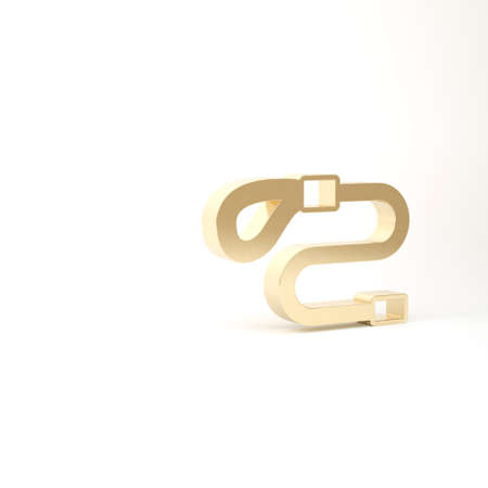 Gold Retractable cord leash with carabiner icon isolated on white background. Pet dog lead. Animal accessory for outdoors walk. 3d illustration 3D renderの写真素材