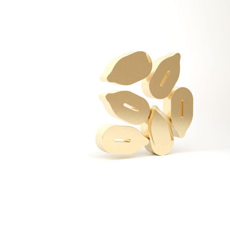 Gold Seeds of a specific plant icon isolated on white background. 3d illustration 3D renderの写真素材