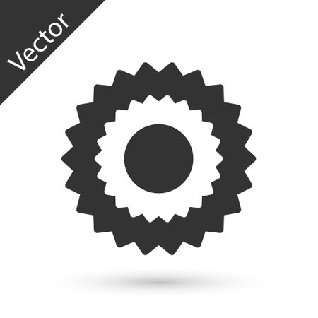 Grey Sun icon isolated on white background. Vectorのイラスト素材