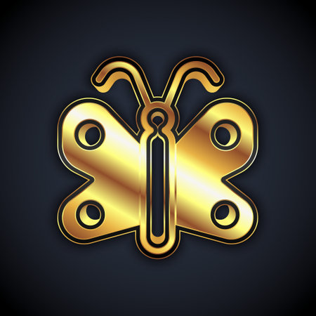 Gold Butterfly icon isolated on black background. Vectorのイラスト素材