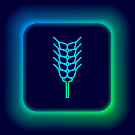 Glowing neon line Cereals set with rice, wheat, corn, oats, rye, barley icon isolated on black background. Ears of wheat bread symbols. Colorful outline concept. Vectorのイラスト素材