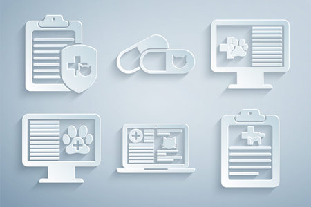 Set Clinical record cat on laptop, pet monitor, , , Cat and pills and icon. Vectorのイラスト素材