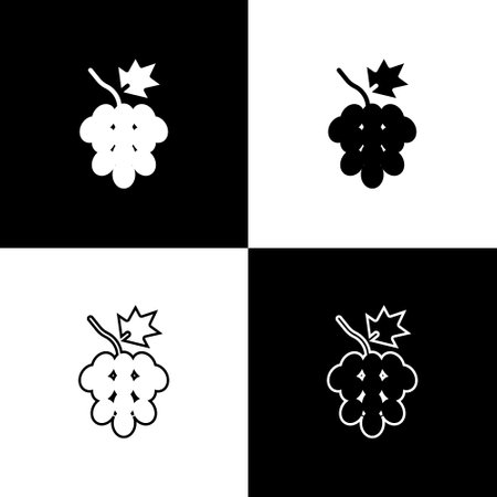 Set Grape fruit icon isolated on black and white background. Vectorのイラスト素材