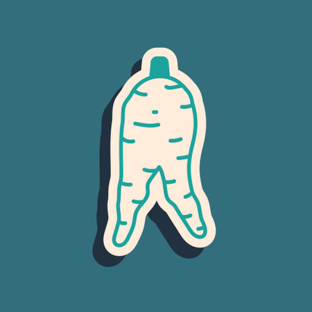 Green Ginseng root icon isolated on green background. Long shadow style. Vectorのイラスト素材