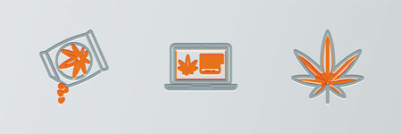 Set line Marijuana or cannabis leaf, seeds and Online buying marijuana icon. Vectorのイラスト素材