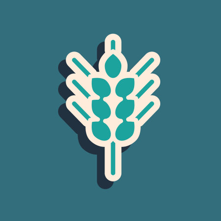 Green Cereals set with rice, wheat, corn, oats, rye, barley icon isolated on green background. Ears of wheat bread symbols. Long shadow style. Vector.のイラスト素材