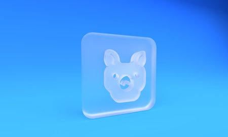 Frosted glass Pig icon isolated on blue background. Animal symbol. Square frosted glass button. 3D render illustration.の写真素材