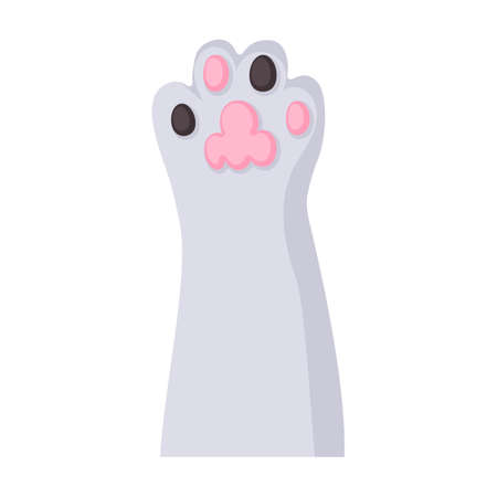 Cat paw vector icon.Cartoon vector icon isolated on white background cat paw.のイラスト素材