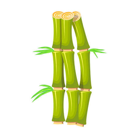 Bamboo vector icon.Cartoon vector icon isolated on white background bamboo.のイラスト素材