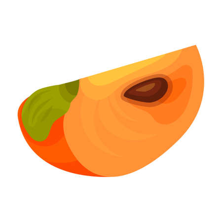 Piece of persimmon vector icon.Cartoon vector icon isolated on white background piece of persimmon.のイラスト素材