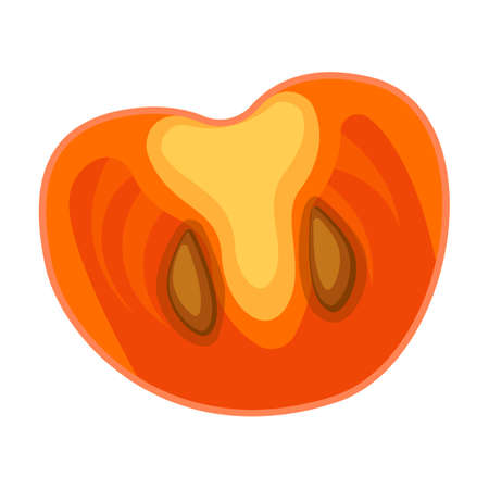 Piece of persimmon vector icon.Cartoon vector icon isolated on white background piece of persimmon.のイラスト素材