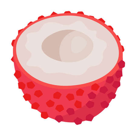 Lychee vector icon.Cartoon vector icon isolated on white background lychee.のイラスト素材