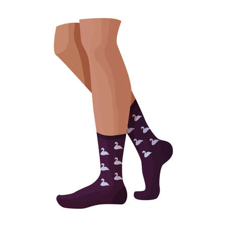 Woman sock vector icon.Cartoon vector icon isolated on white background woman sock.のイラスト素材
